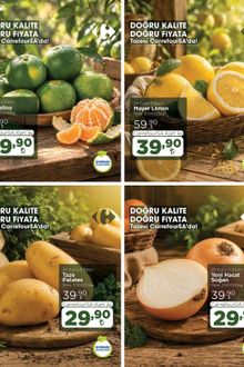 Carrefoursa İndirim Broşürü