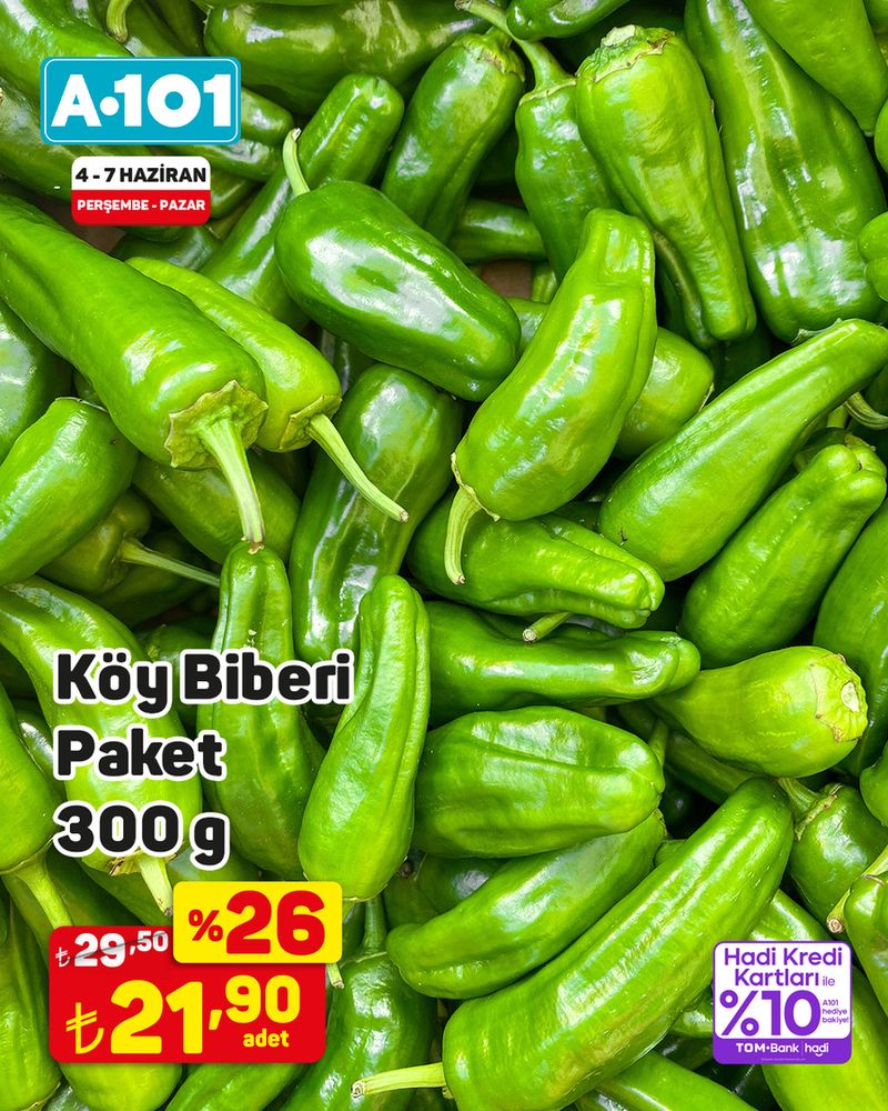 A101 4 Haziran 2026 Aktüel Kataloğu Sayfa 10