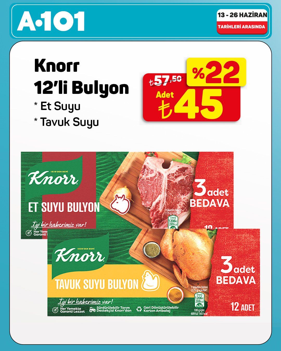 A101 13 Haziran 2026 Aktüel Kataloğu Sayfa 1