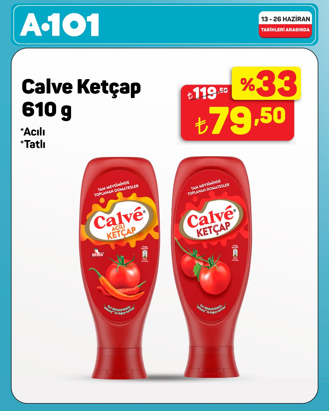 A101 13 Haziran 2026 Aktüel Kataloğu Sayfa 5