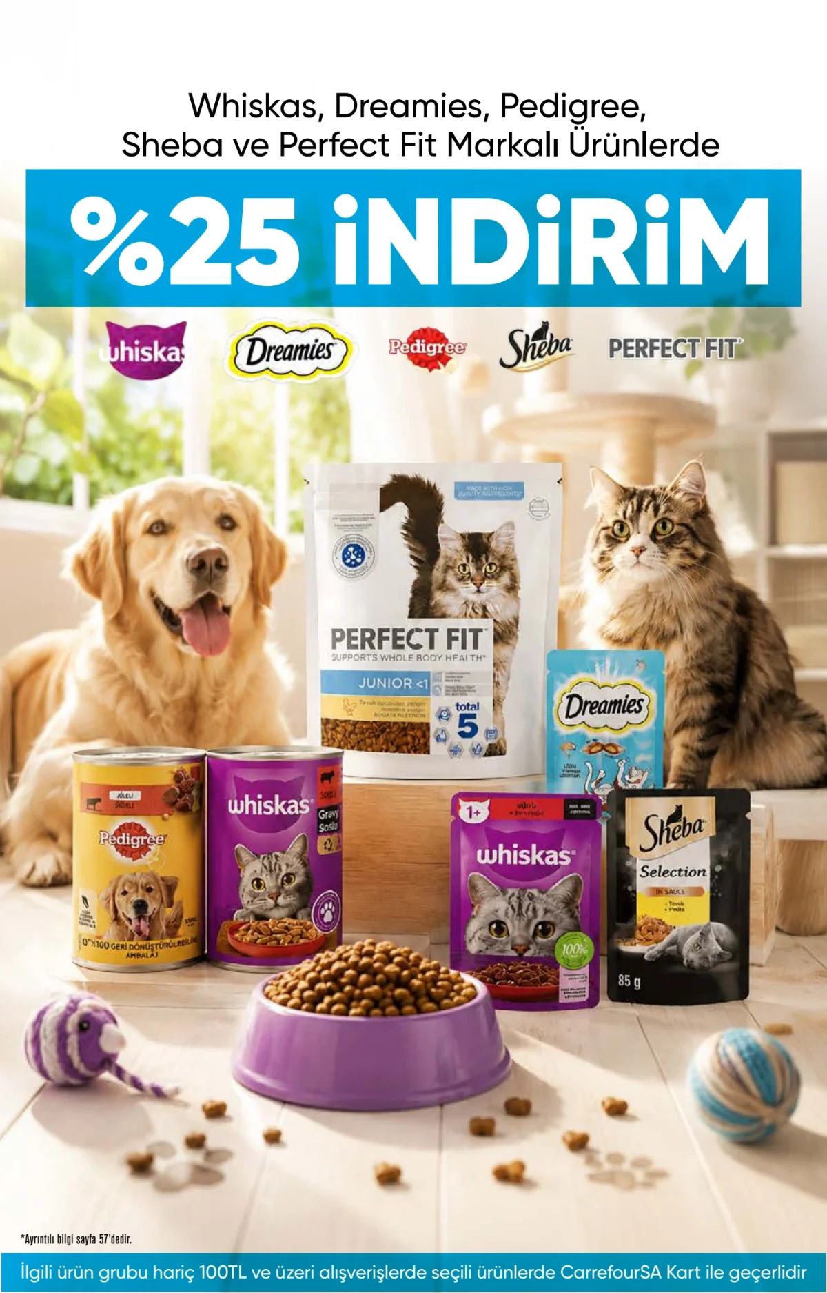 20 Ağustos Carrefoursa Kataloğu 2026 Sayfa 67