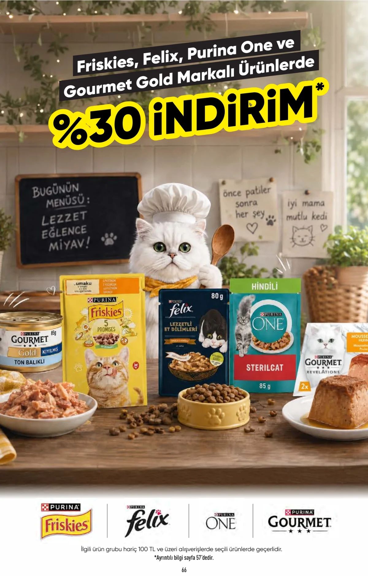 20 Ağustos Carrefoursa Kataloğu 2026 Sayfa 66