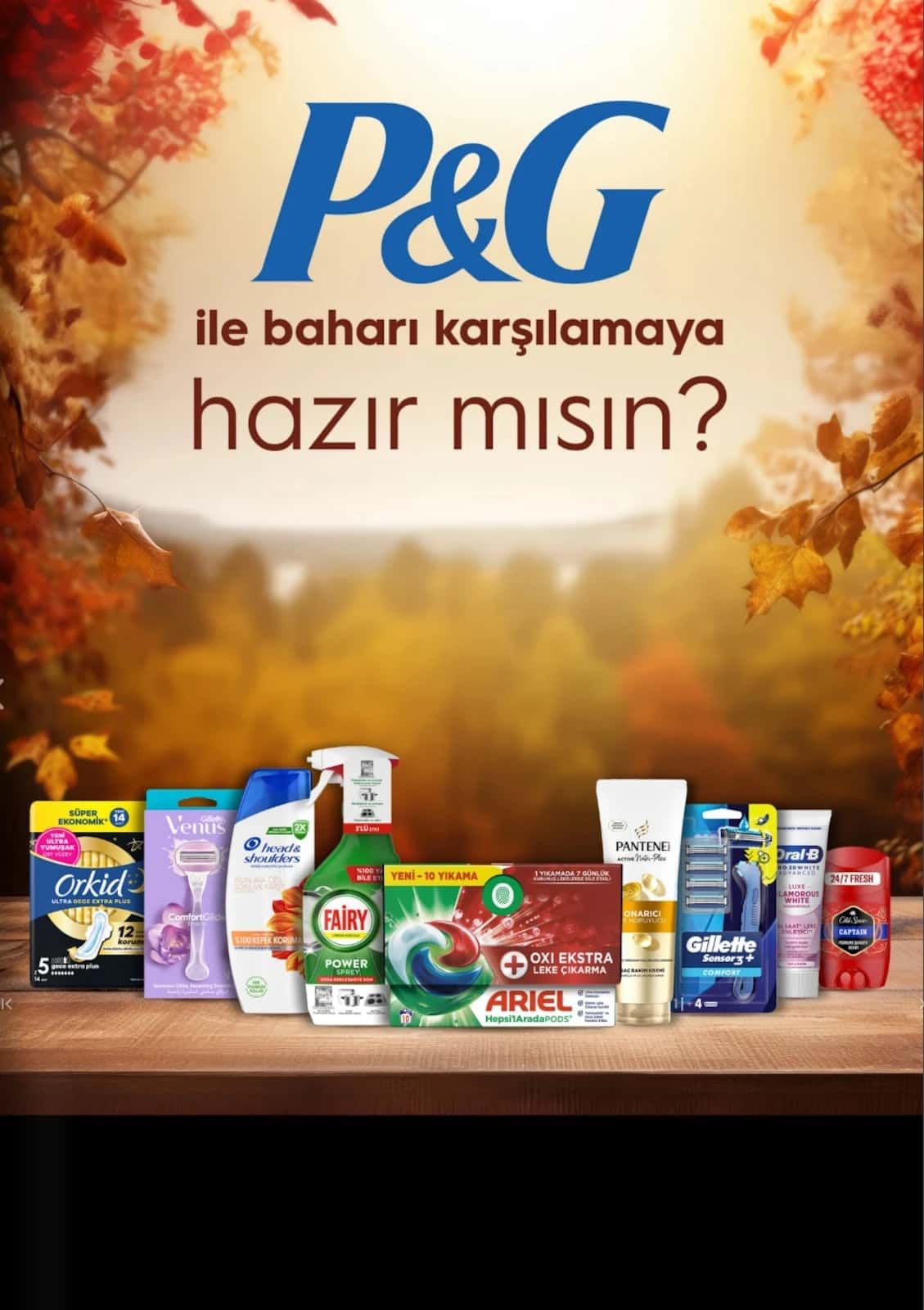 6 Eylül Gratis Kataloğu 2026 Sayfa 51