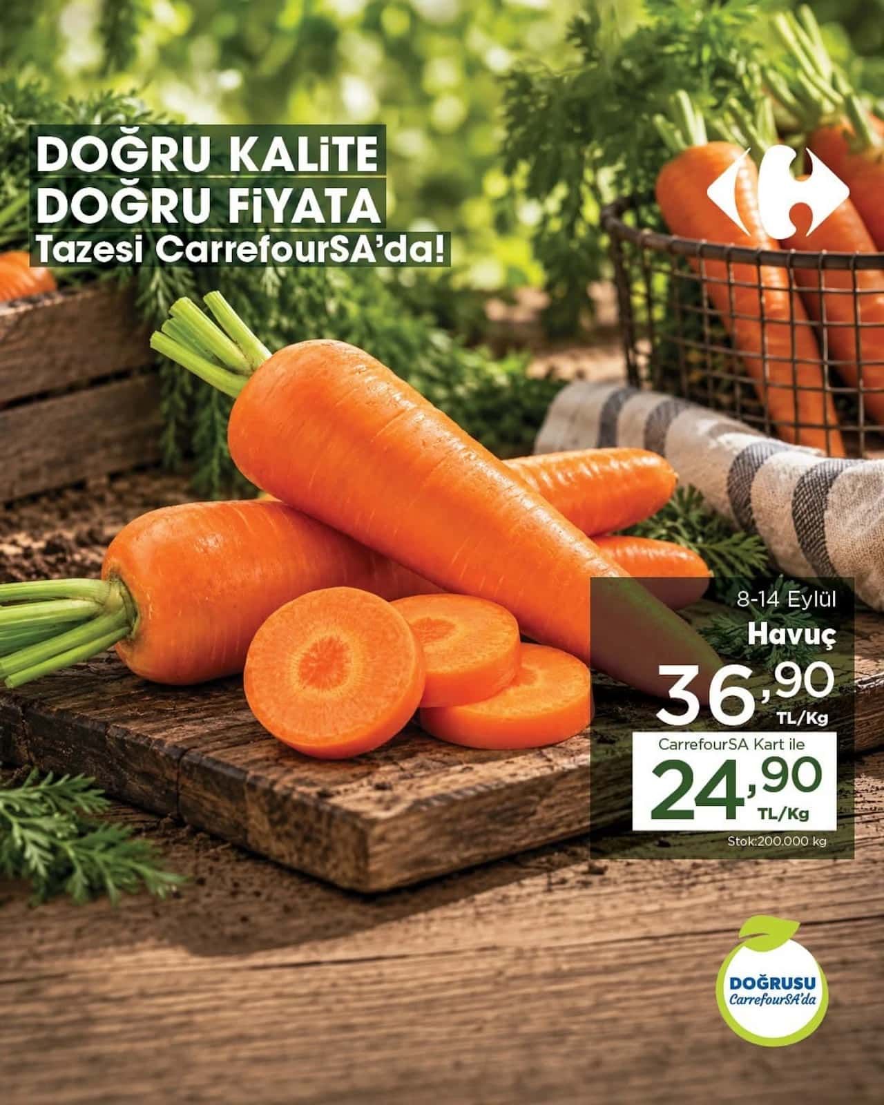 8 Eylül Carrefoursa Kataloğu 2026 Sayfa 4