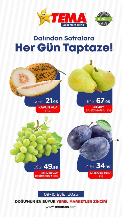 9 Eylül Tema Market Kataloğu 2026 Sayfa 1