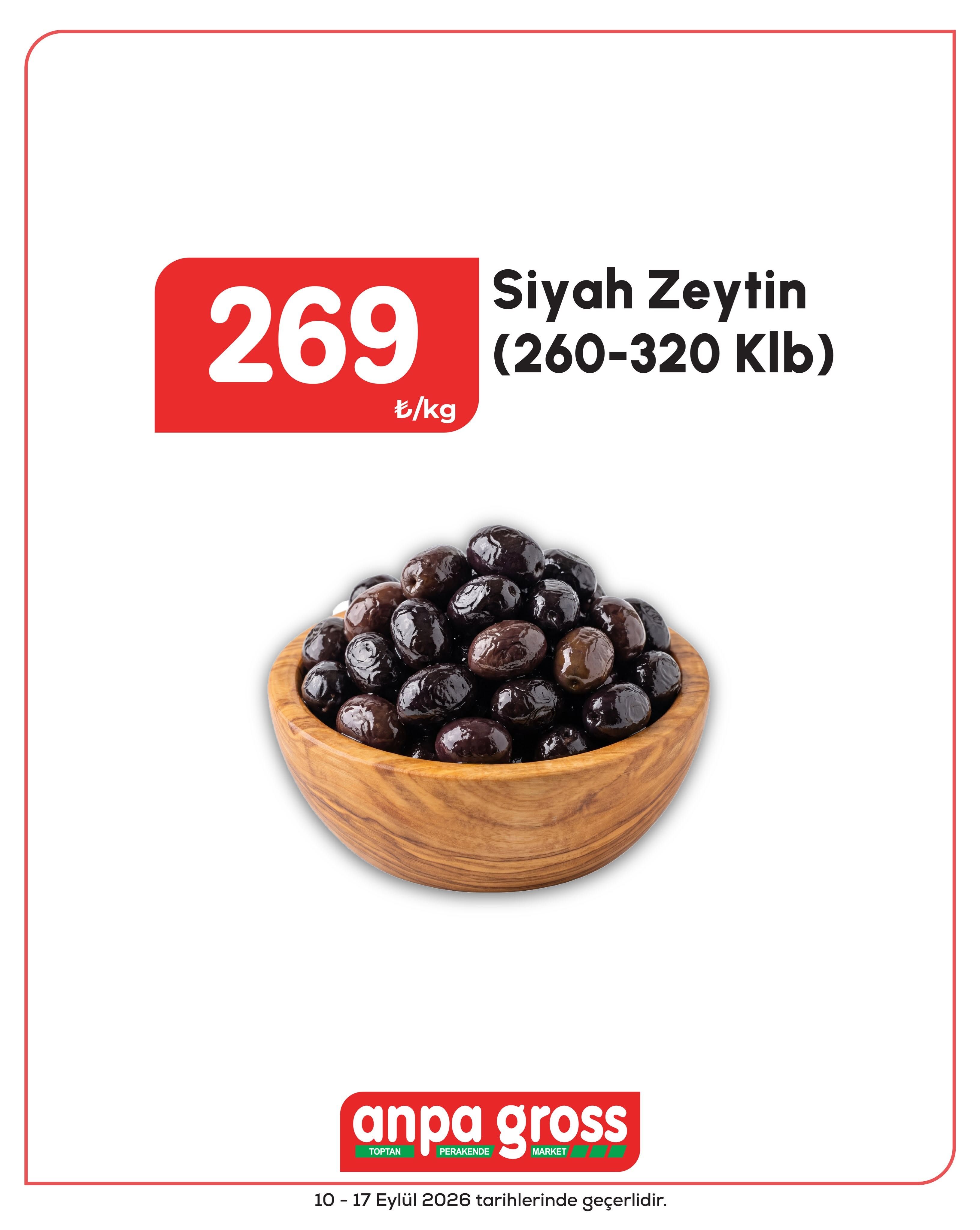 10 Eylül Anpagross Kataloğu 2026 Sayfa 6