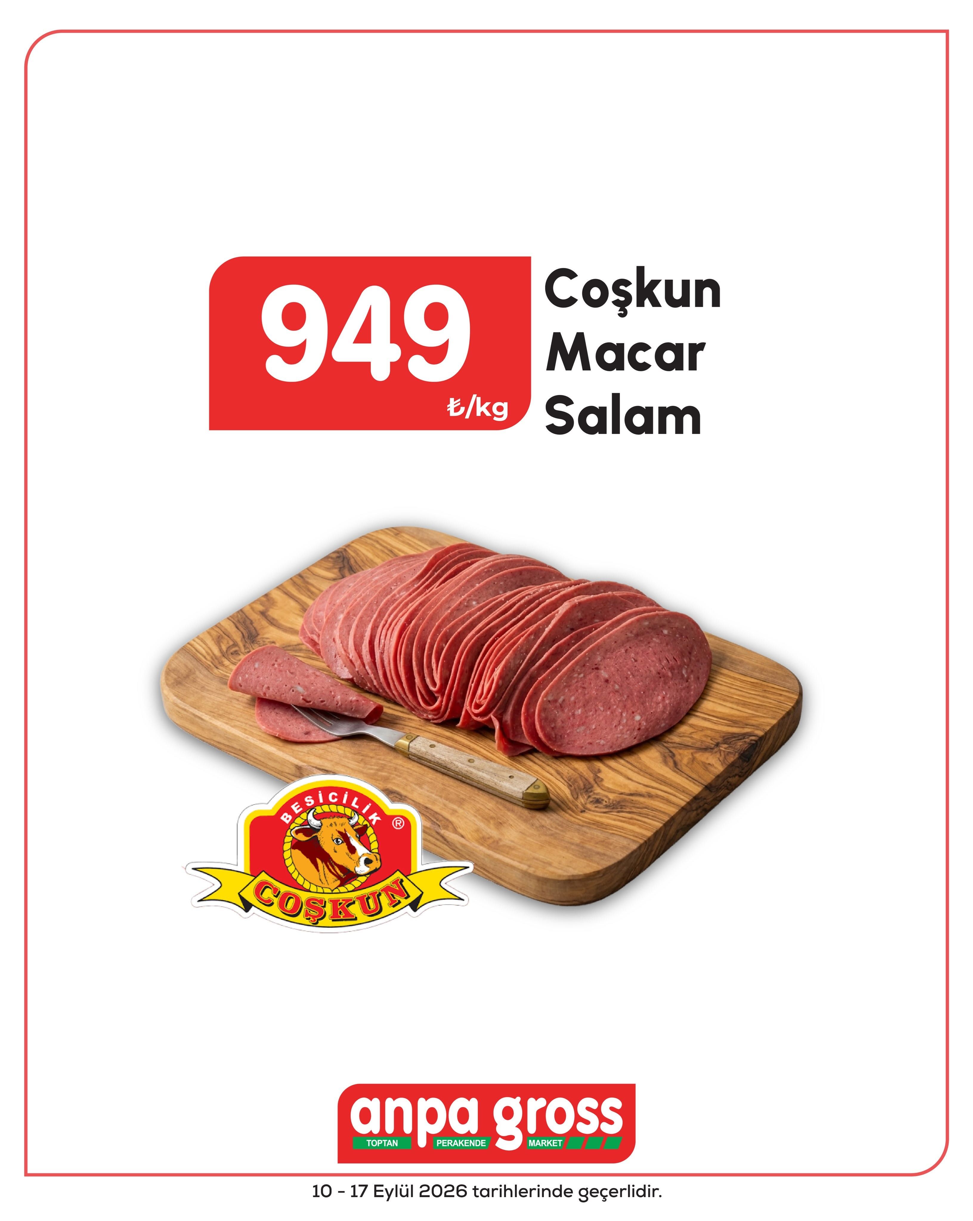 10 Eylül Anpagross Kataloğu 2026 Sayfa 8