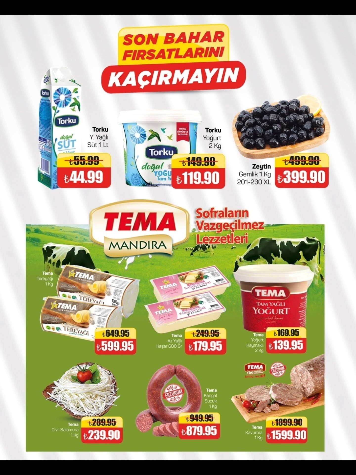 1 Eylül Tema Market Kataloğu 2026 Sayfa 2