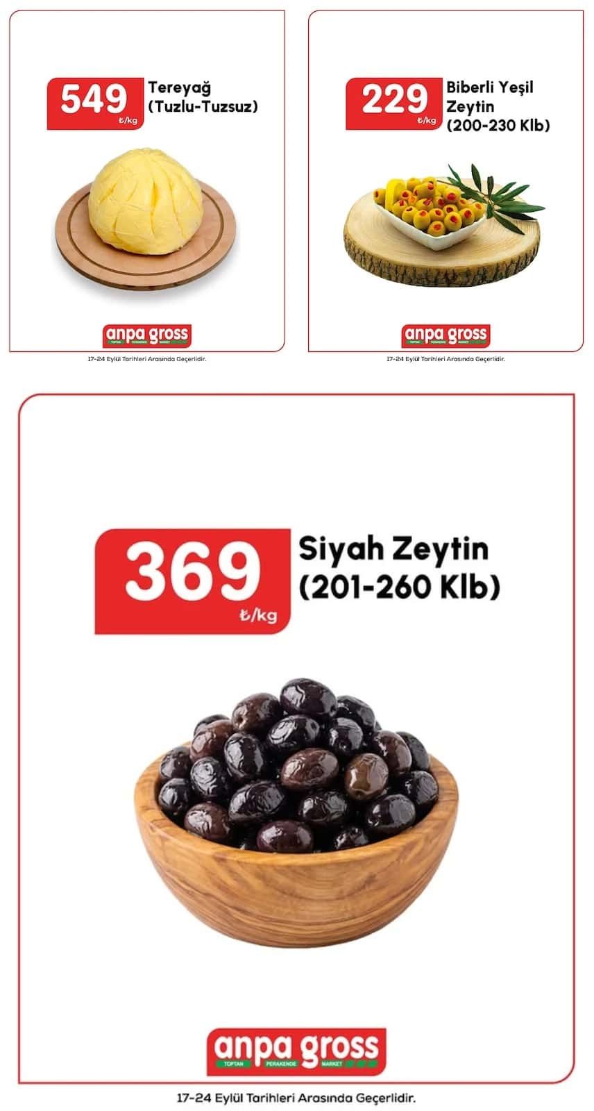 17 Eylül Anpagross Kataloğu 2026 Sayfa 2