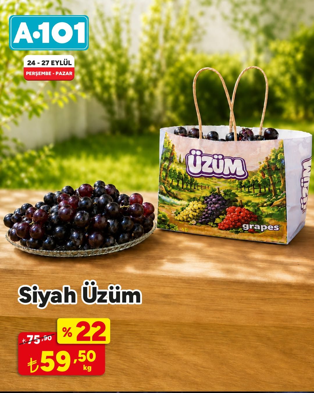 24 Eylül A101 Kataloğu 2026 Sayfa 3