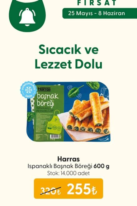 File Market İndirim Kataloğu