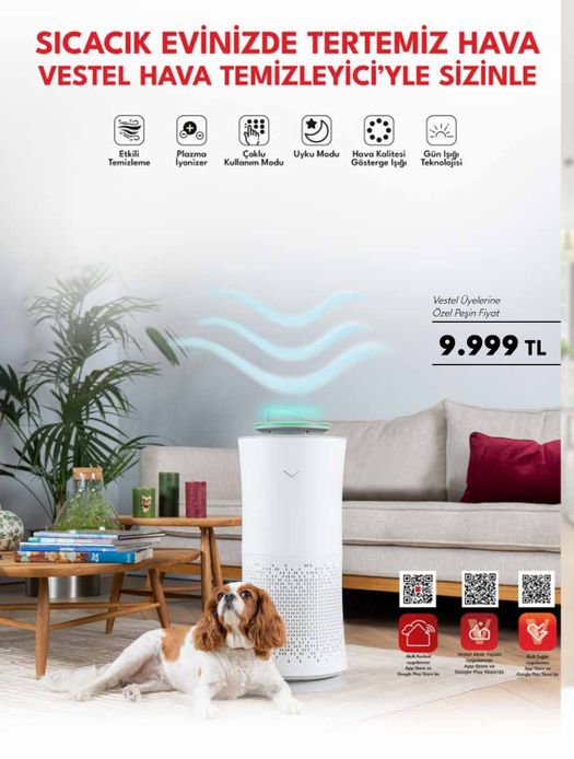 Vestel