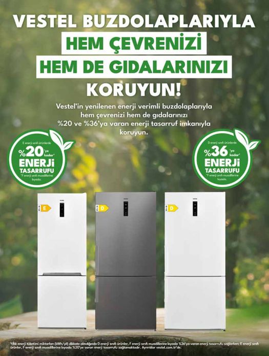Vestel