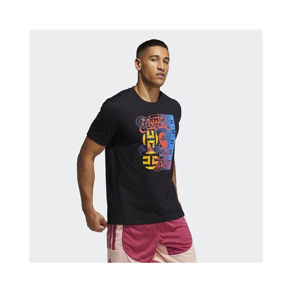 tommy hilfiger flag t shirt white