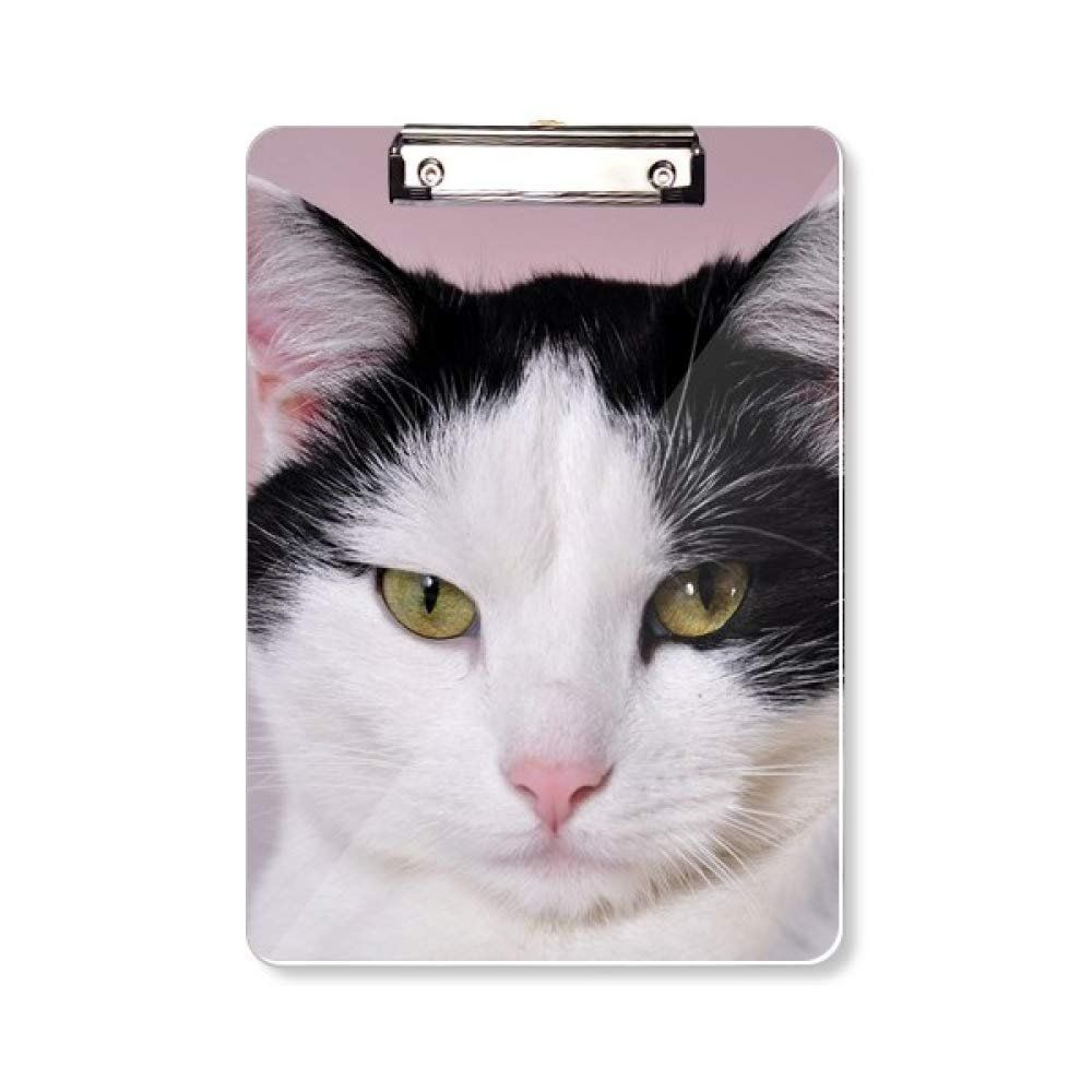 A4 Kedi Hayvan Evcil Hayvan Smokin Billicat Yazma Pedi Klasoru Fiyatlari