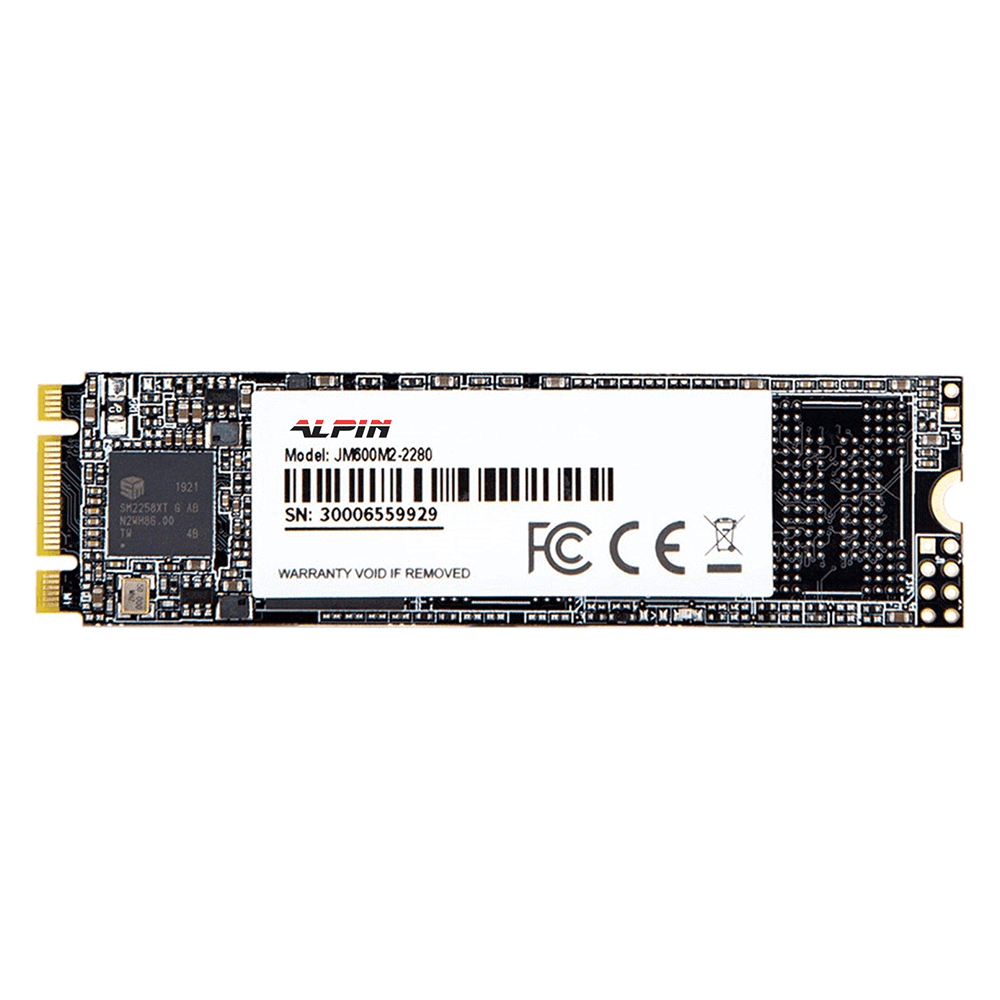 Alpin M.2 120 GB SSD Sürücü