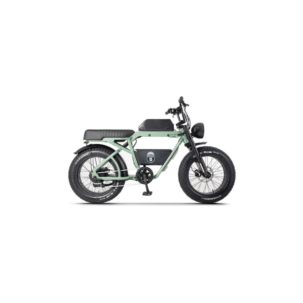 Ape Ryder Bonobo Premium Yeşil Elektrikli Bisiklet Fiyatları