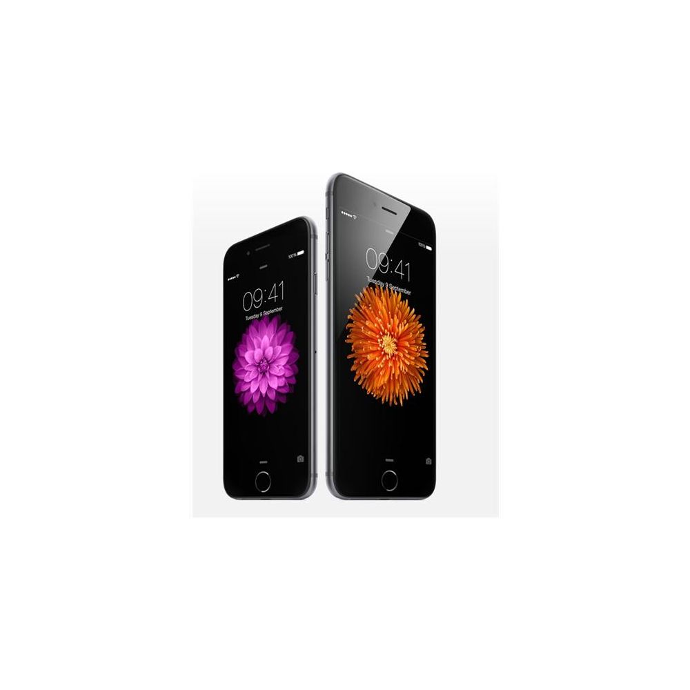 Apple iPhone 6 Plus 16GB Uzay Grisi Fiyatları