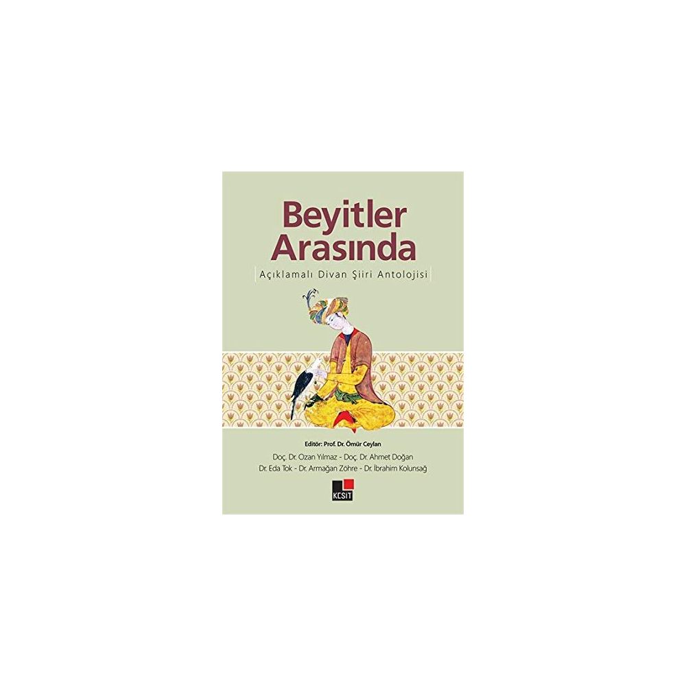 Beyitler Arasinda Aciklamali Divan Siiri Antolojisi Kolektif Fiyatlari