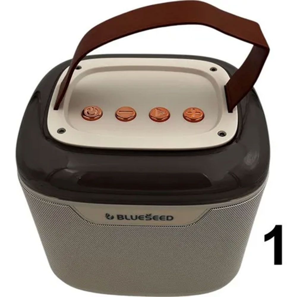 Blueseed BS-601 Karaoke Box Kablosuz Hoparlör