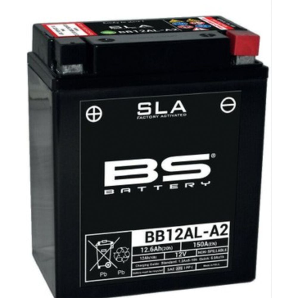 このは Skateboard Shoes Circa Shoes Logo Circa Skateboard Shoes 50 Slips