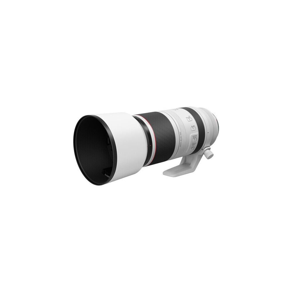 Canon RF100-500 mm F4.5-7.1 L IS USM Lens Fiyatları