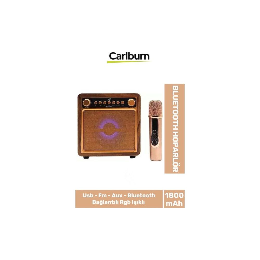 Carlburn KTS-1687 Bluetooth Hoparlör