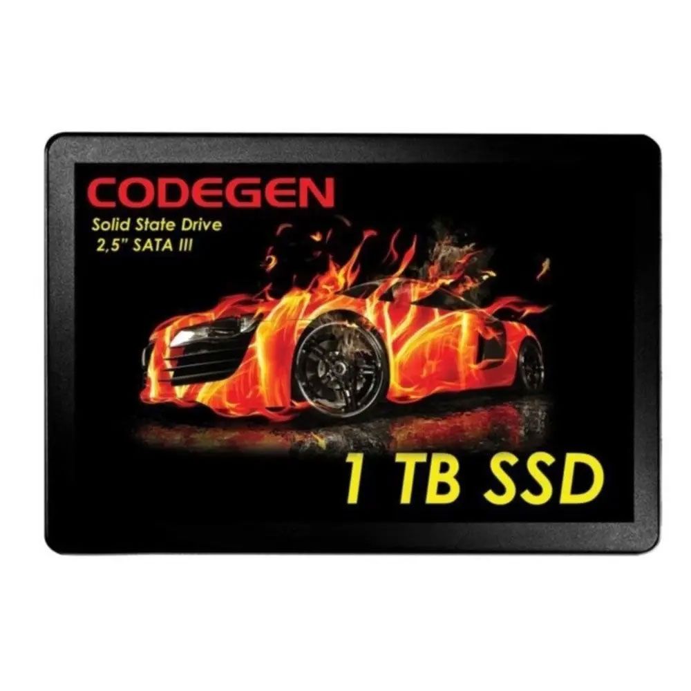 Codegen CDG-1TB-SSD25 1TB 500-450MB-S SSD SATA-3 Disk