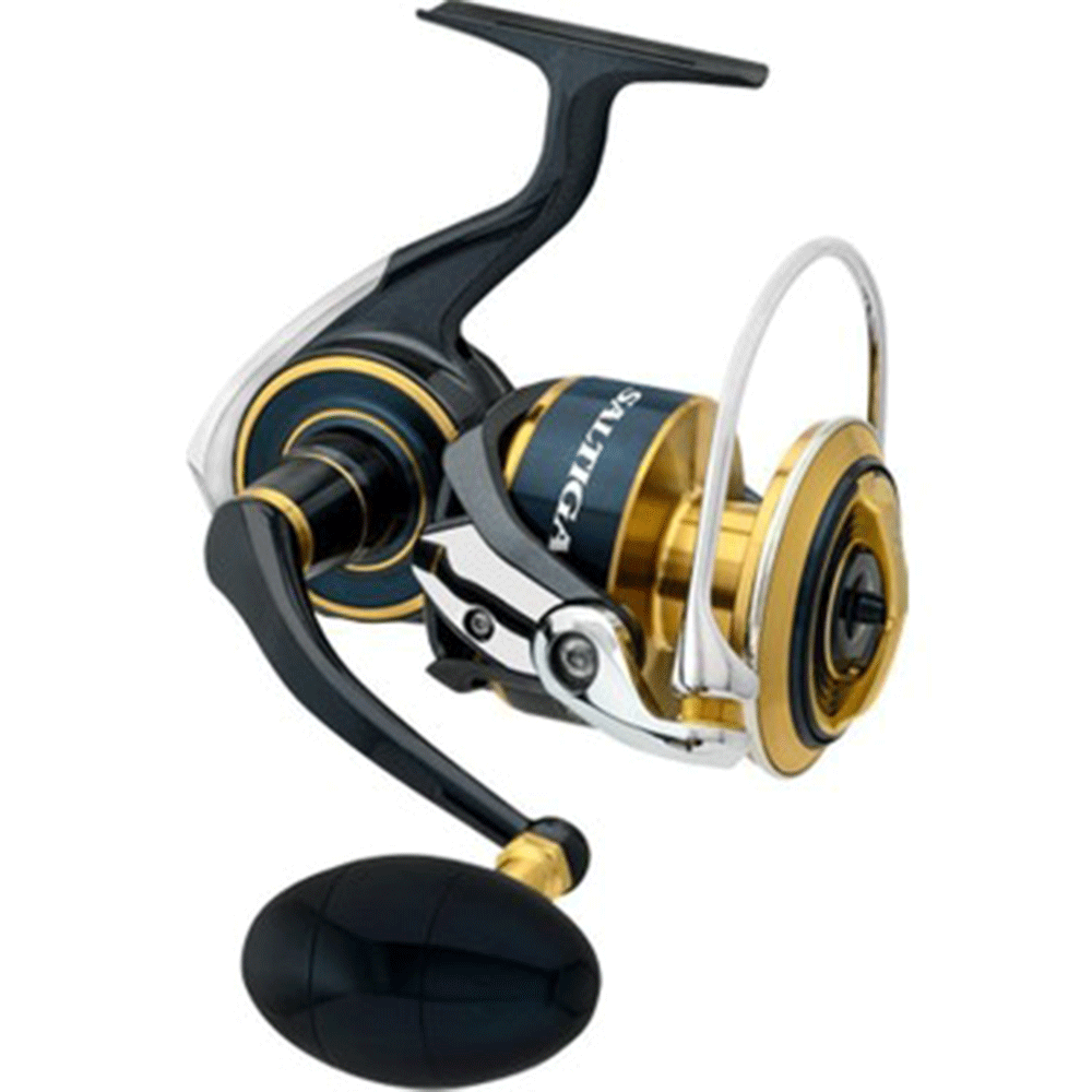 Daiwa Saltiga 20 10000 P Olta Makinesi Fiyatları | Cimri