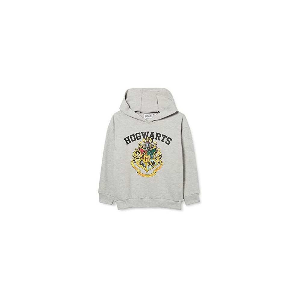 Big W Harry Potter Oversized Hoodie Austria, SAVE 53% , 56% OFF