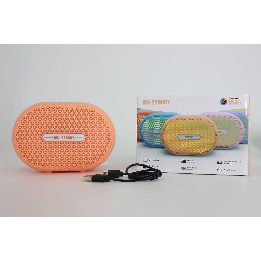 Dvip Ms-2209Bt Bluetooth Hoparlör Usb Taşınabilir Hoparlörü