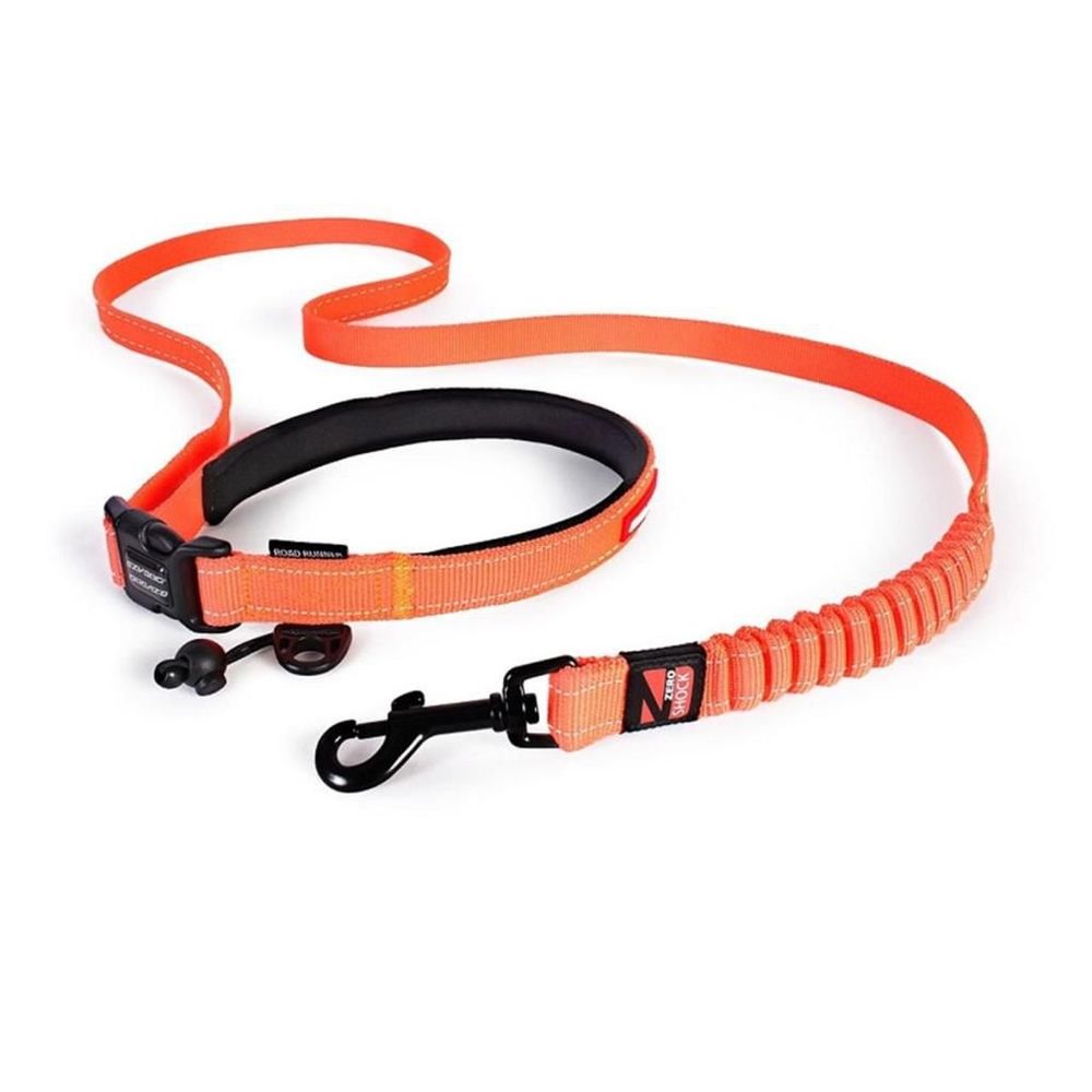 Ezydog Road Runner Leash Turuncu Kopek Tasmasi Fiyatlari