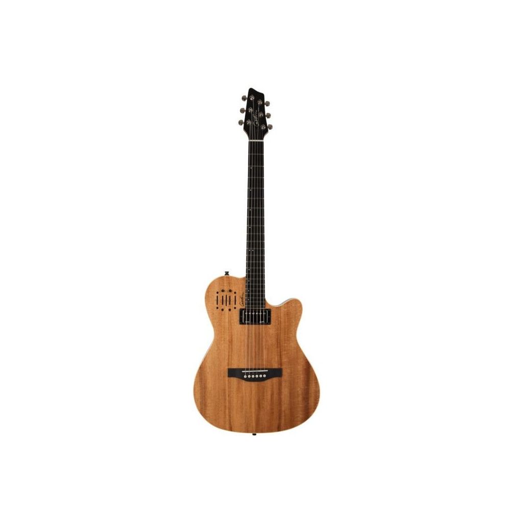 Godin A6 Ultra Elektro Akustik Gitar Fiyatları | Cimri