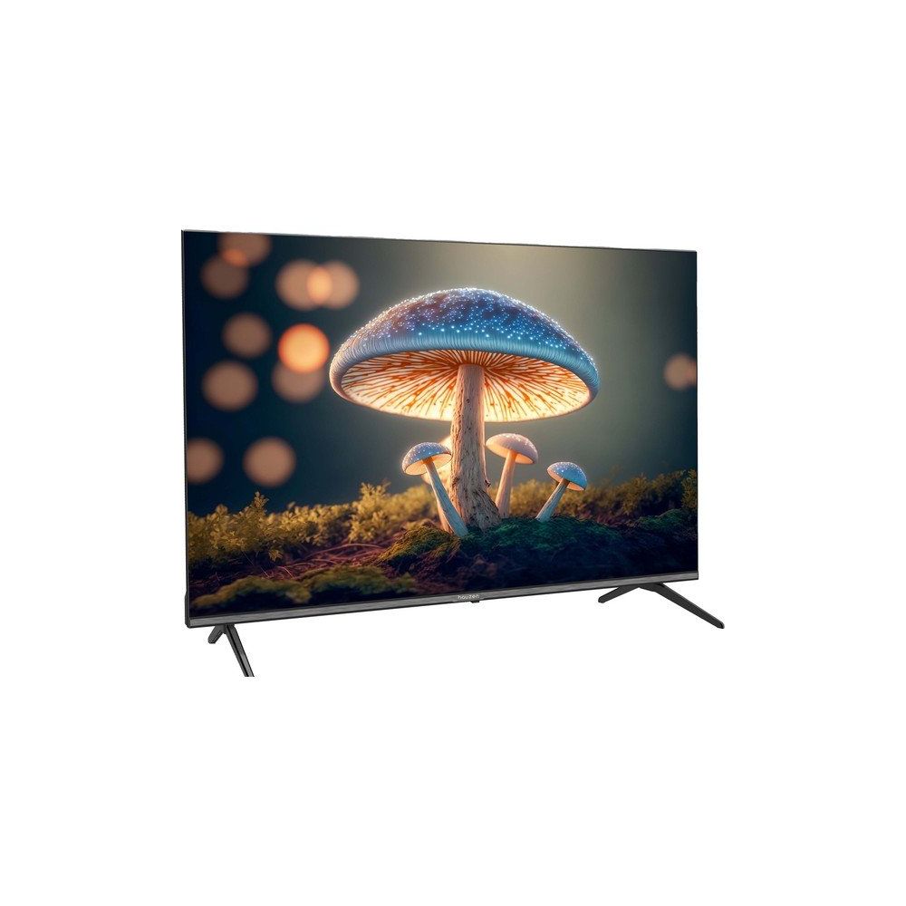 Hauzen TP5000 Televizyon