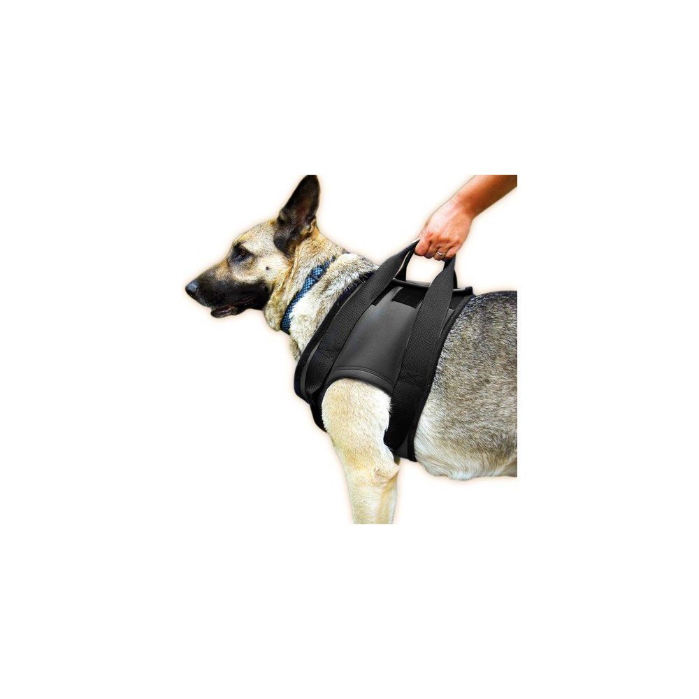 Julius K9 On L 57x87cm Rehabilitasyon Kopek Tasmasi Fiyatlari