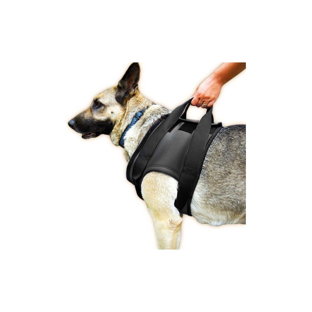 Julius K9 On S 42x61cm Rehabilitasyon Kopek Tasmasi Fiyatlari Julius K9 On S 42x61cm Rehabilitasyon Kopek Tasmasi Fiyatlari