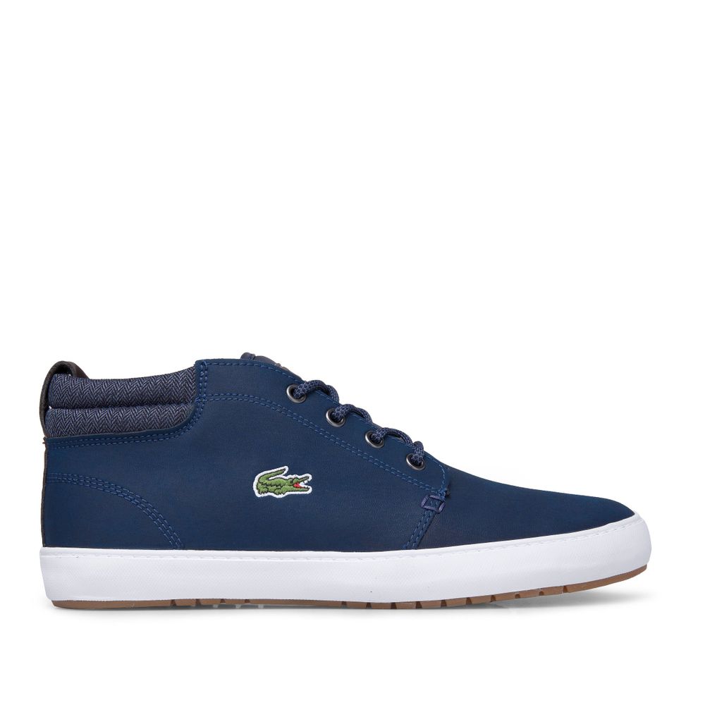 lacoste ampthill terra