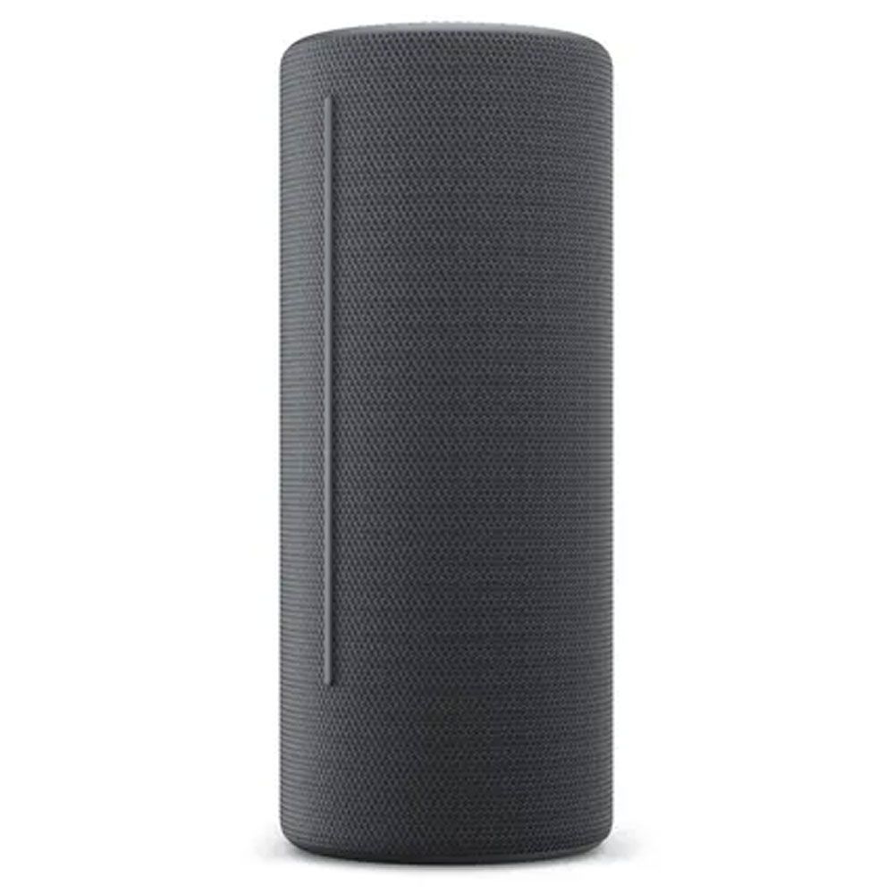 Loewe We Hear 2 Siyah Gri Bluetooth Hoparlör