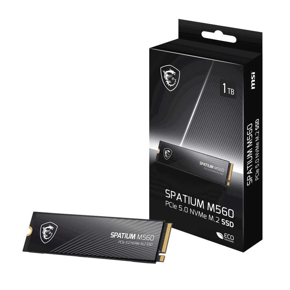 MSI Spatium M560 1 TB 10200/8400 NVMe SSD