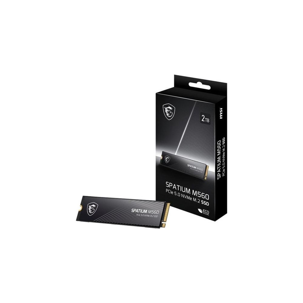 MSI Spatium M560 2 TB 10300/8700 NVMe SSD