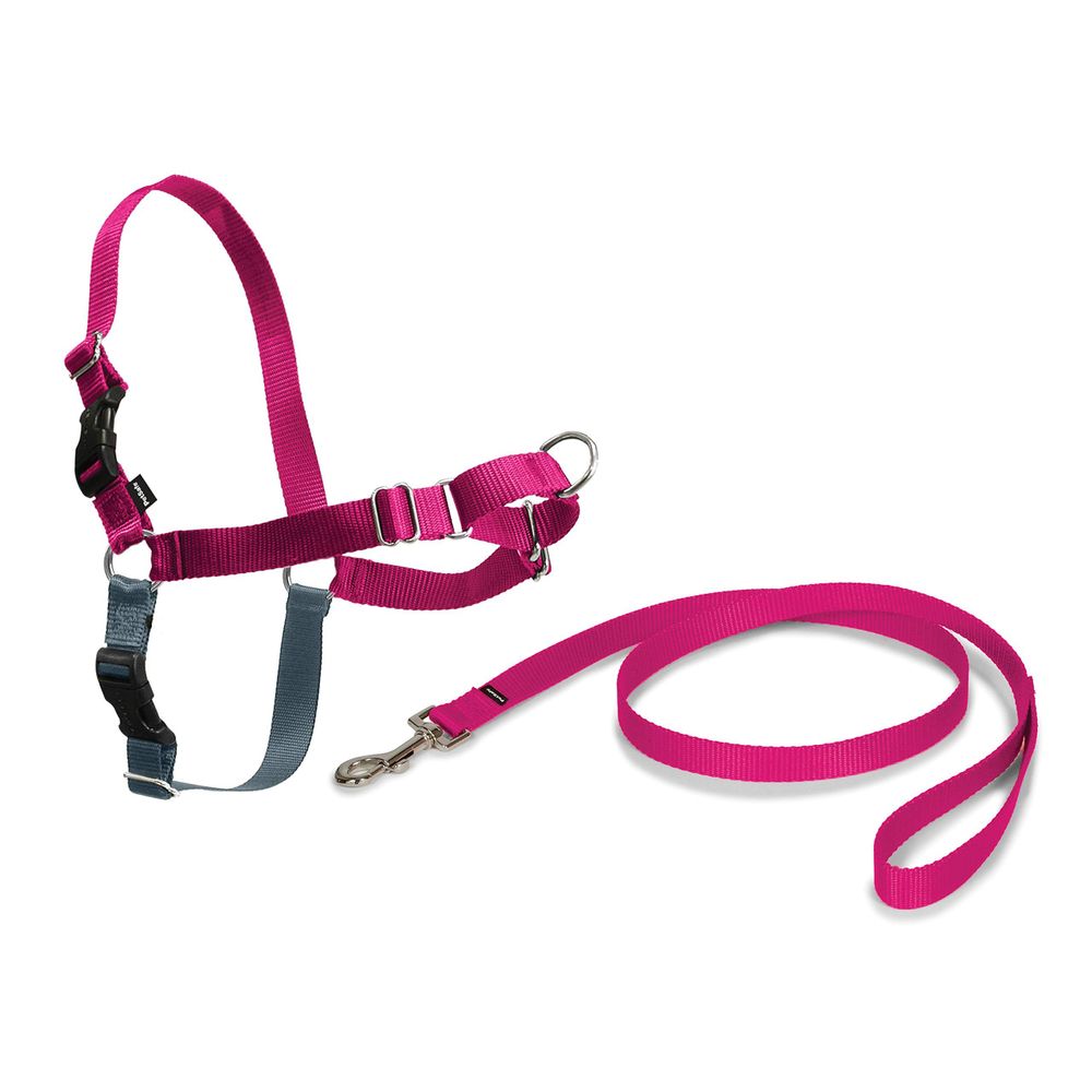 Petsafe Easy Pembe L Boy Kopek Tasmasi Fiyatlari