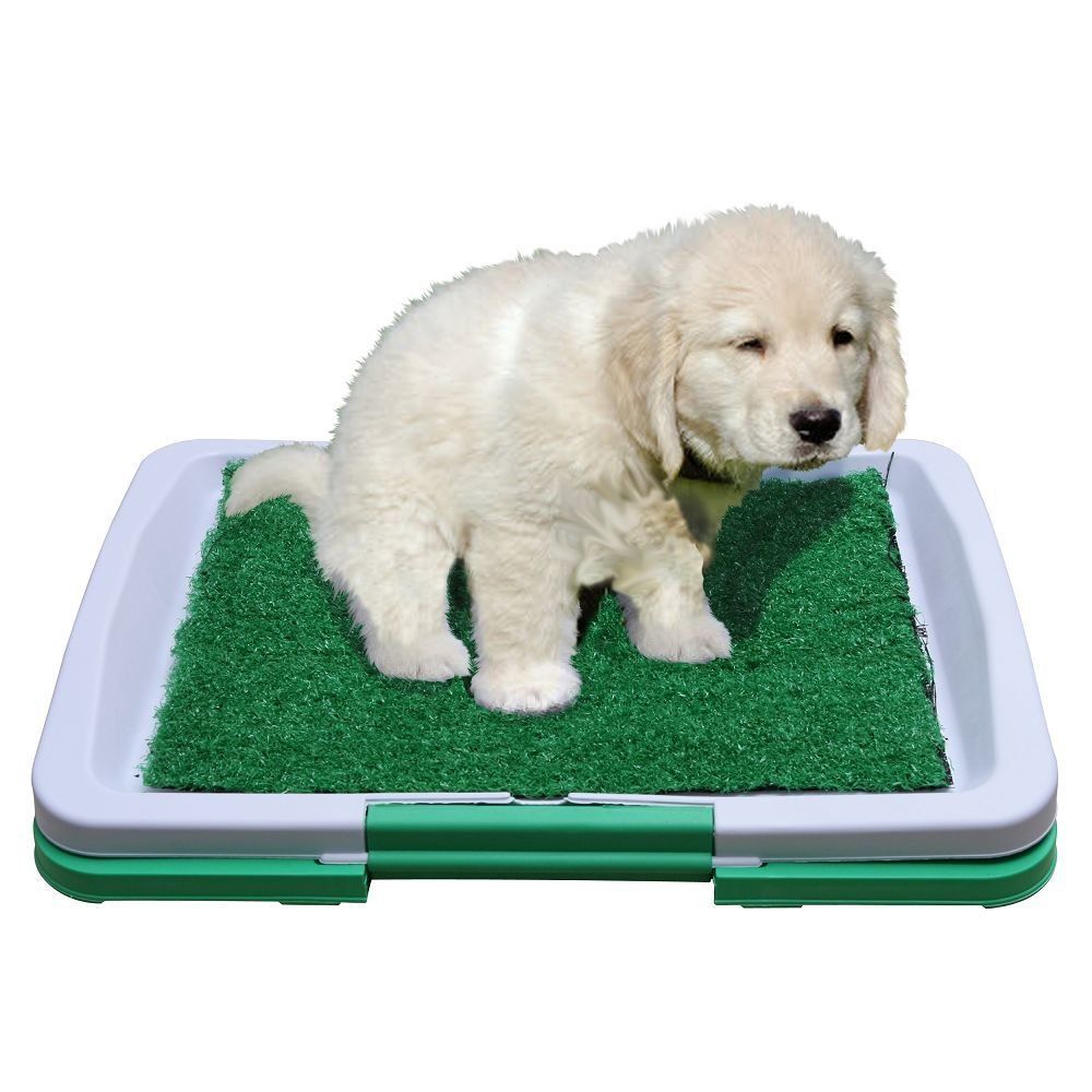 Pet Zoom Potty Pad Yavru Kopek Lazimligi Fiyatlari