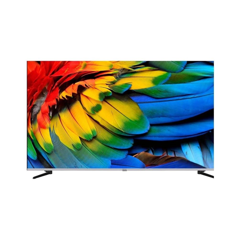 Regal R66QA11 TV