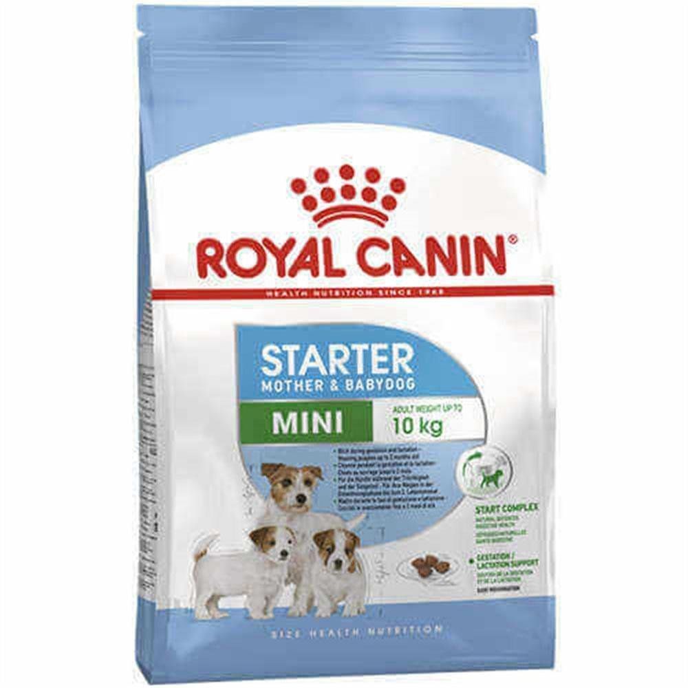 Royal Canin 3 Kg Mini Starter Kopek Mamasi Fiyatlari