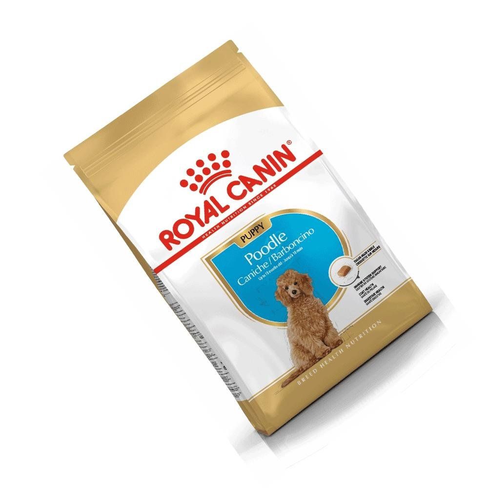royal canin lamb