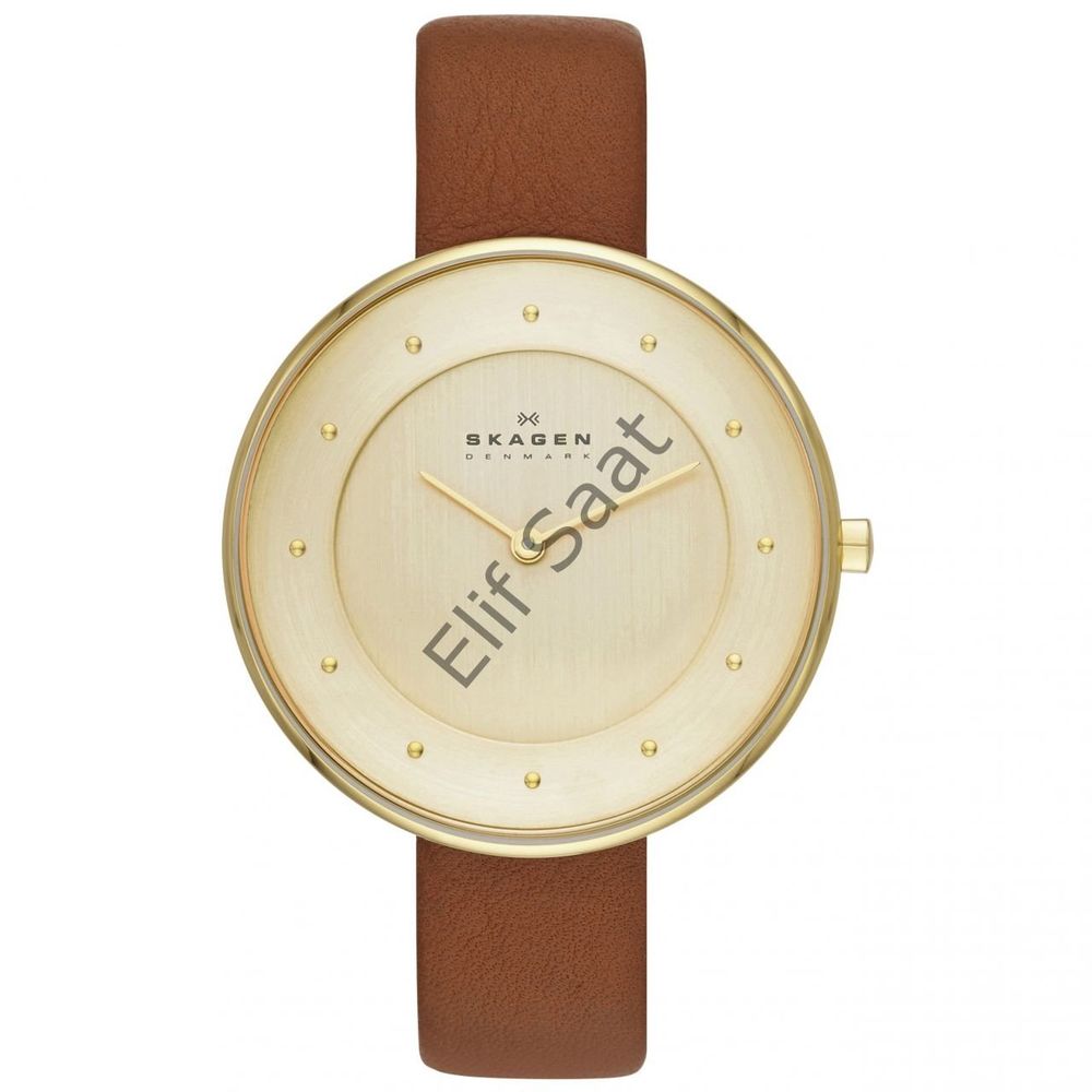 Skagen Watches Skagen Skw2138 Skagen Gitte Champagne Dial Brown