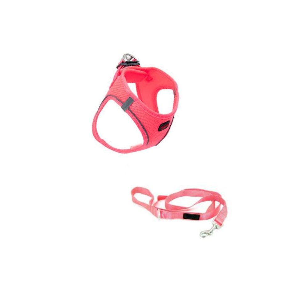 Tailpetz Pembe Small Sevk Kayisi Fiyatlari