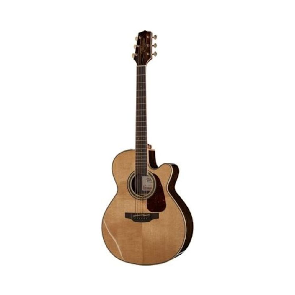 takamine acoustic