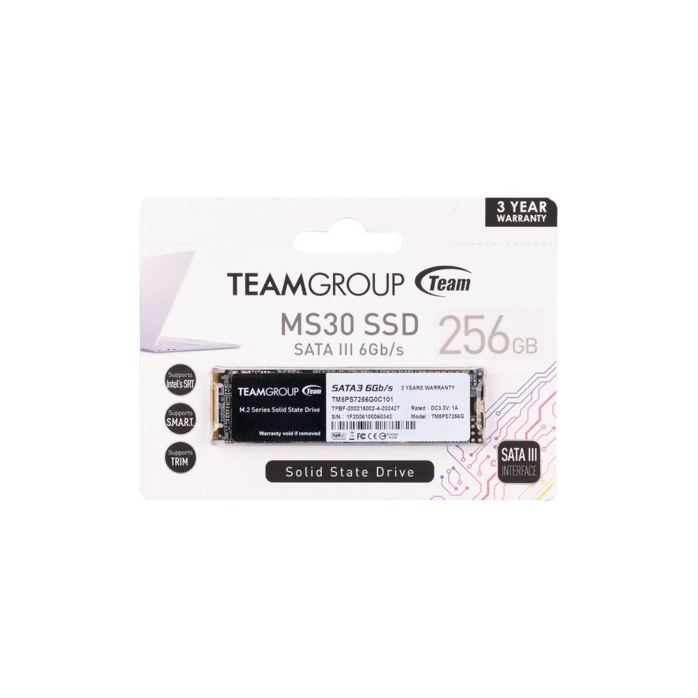 Team TM8PS7256G0C101 256 GB SSD