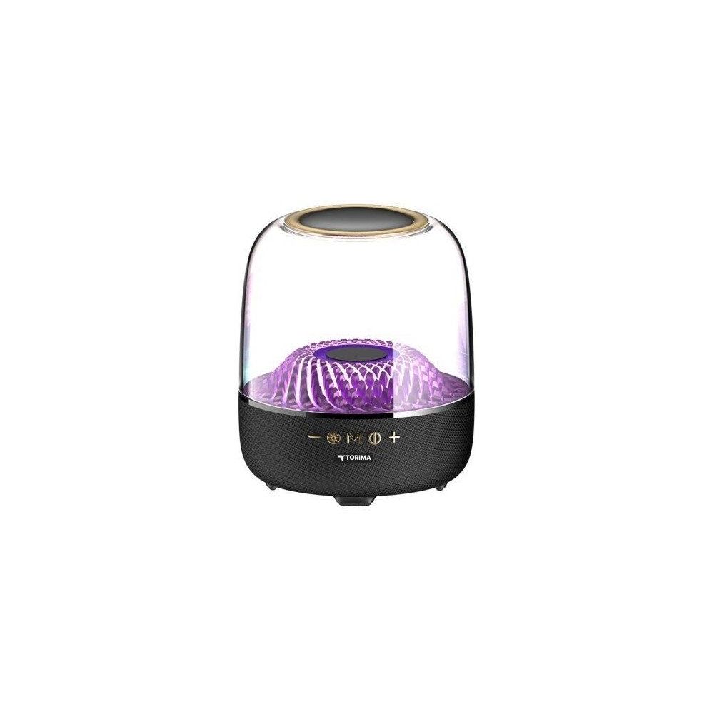 Torima D33 Siyah Bluetooth Hoparlör
